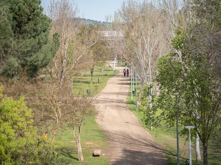 Ayuntamiento de Mrida cifra en 491 los rboles afectados en la ciudad por las borrascas