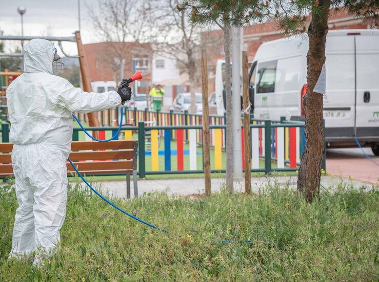 Operarios de Parques y Jardines de Mrida trabajan para prevenir la procesionaria del pino