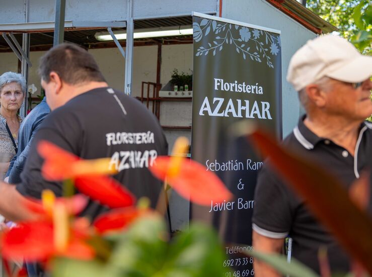 Abierto el plazo para la III edicin del Mercado de las Flores en Mrida