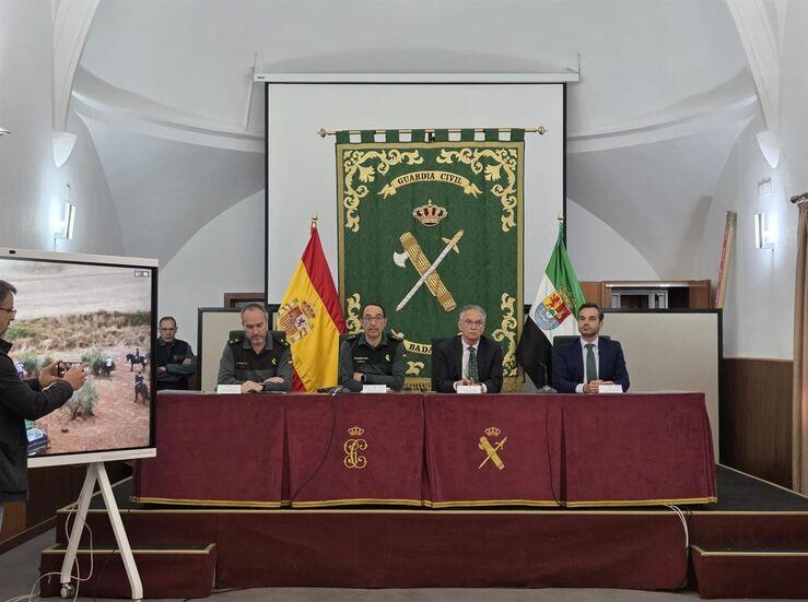 Los hurtos y robos de aceitunas desciende un 27 en la provincia de Badajoz 