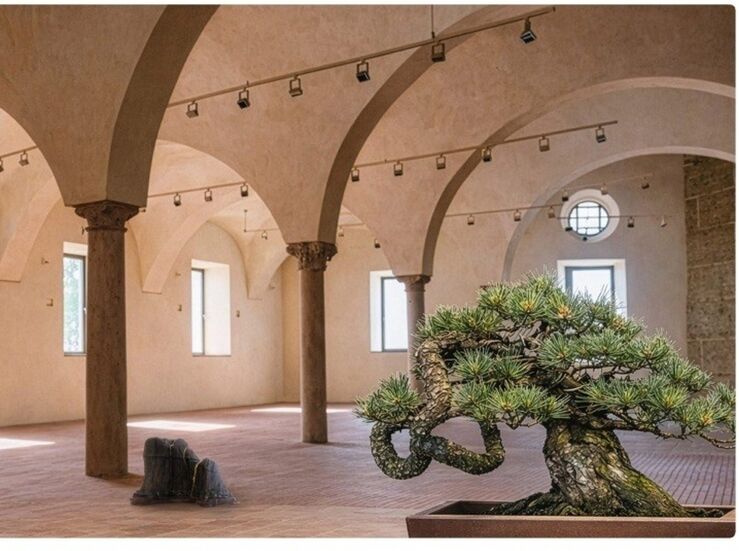 En Badajoz una exposicin ofrece una muestra del arte del bonsi y el suisekis
