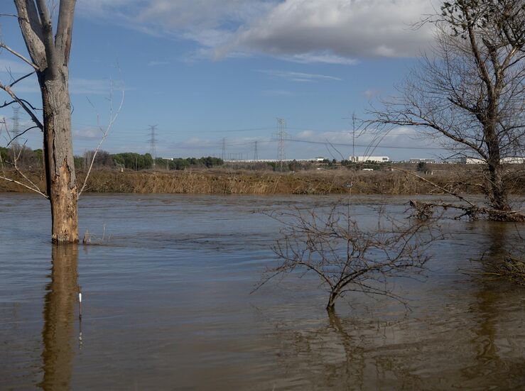 CHT publica informe sobre gestin avenidas provocadas por borrascas de principios de 2026