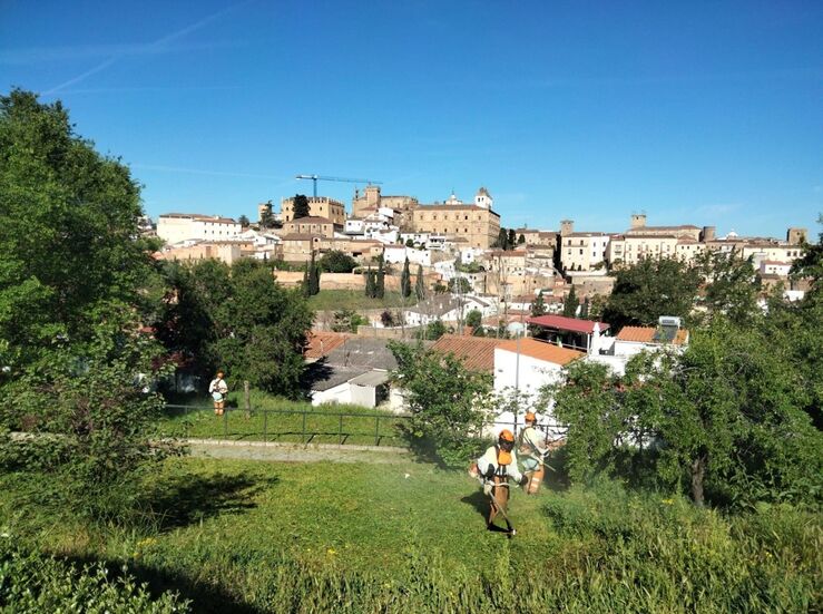 Operativo especial de limpieza y seguridad para la Bajada de la Virgen de la Montaa 