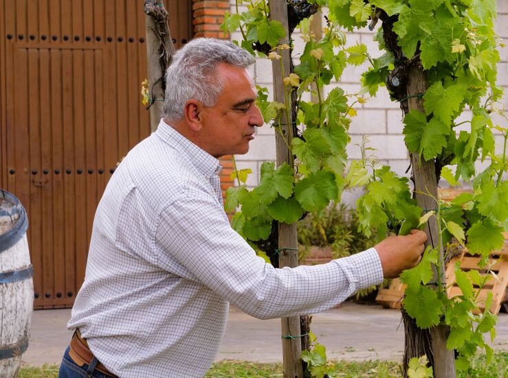 Tradicin e innovacin se fusionan de la mano de Juan Leandro Romero un artesano del vino