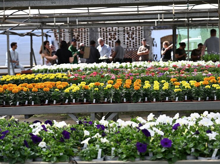 Diputacin Cceres comienza reparto 47000 plantas para embellecer municipios en primavera