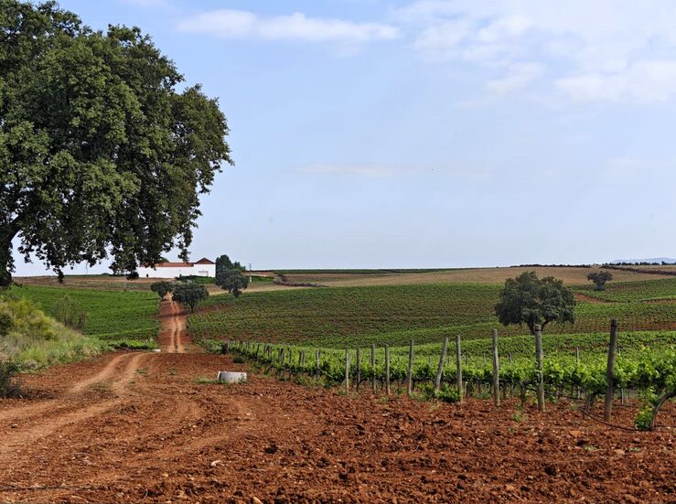 Blogueros especializados conoce experiencias de Ruta del Vino y Cava Ribera del Guadiana
