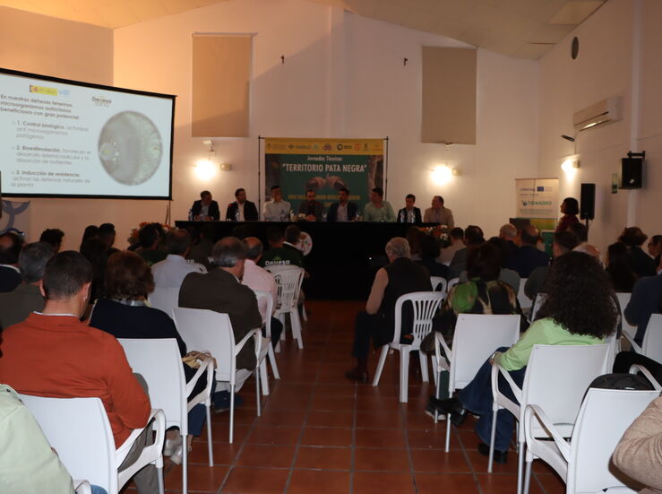 Tratamiento biolgico extremeo logra resultados altamente eficaces contra seca de dehesa