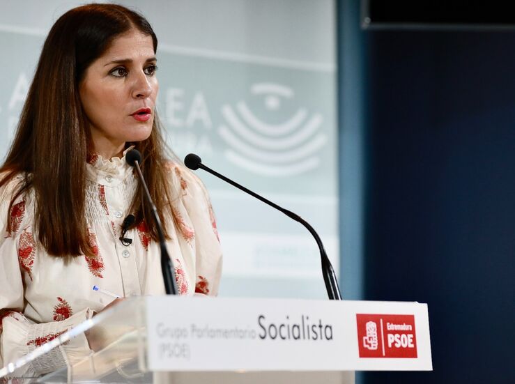 PSOE y Unidas critican la gestin que la Junta realiza de los exmenes de Enfermera