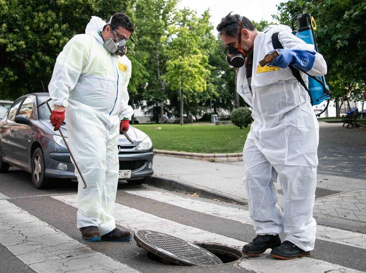 Ayuntamiento de Mrida pone en marcha una nueva campaa de desratizacin en toda la ciudad