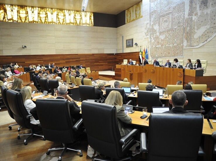 Comisin Peticiones de la Asamblea cuenta con un nico escrito en tramitacin sobre 2025