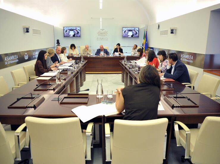 La financiacin de Dependencia y la retirada de clases de rabe a debate en la Asamblea