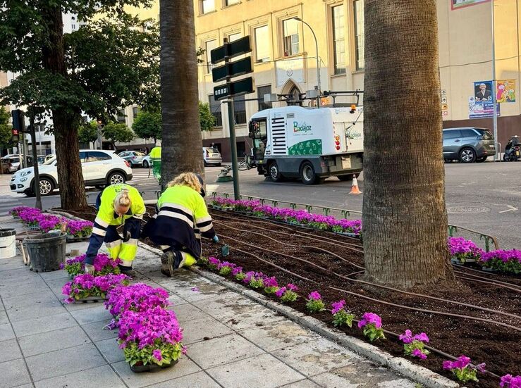 Ayuntamiento Badajoz inicia plantacin de 22000 flores de temporada en distintos espacios