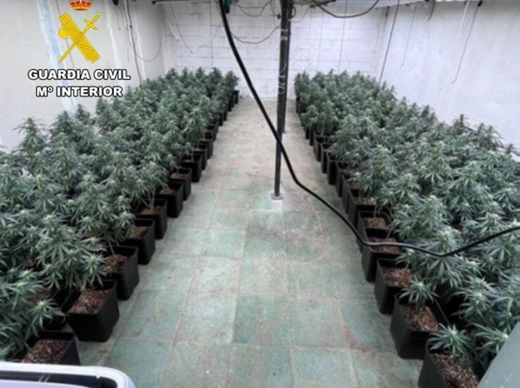 Detenidos los presuntos autores de 37 robos en establecimientos de Badajoz y Cceres 