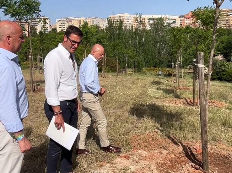 En este 2026 el Ayuntamiento de Cceres ya ha repuesto ms de medio millar de rboles 