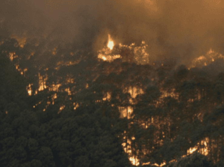 Ecologistas en Accin critica que Fuentes de Len haya adelantado los fuegos artificiales 
