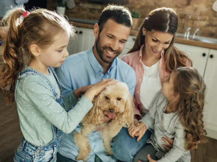 Los 4 seguros que una familia con mascota debera tener