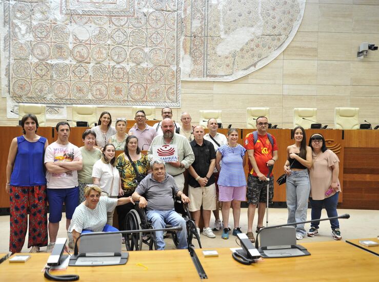 Usuarios y profesionales de Plena Inclusin Xerez visitan Asamblea y trasladan inquietudes