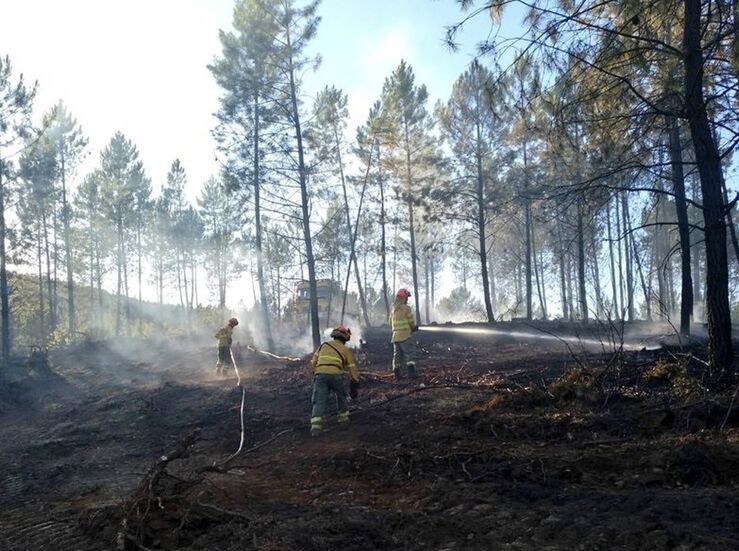 WWF pide un Plan de Accin para prevenir incendios