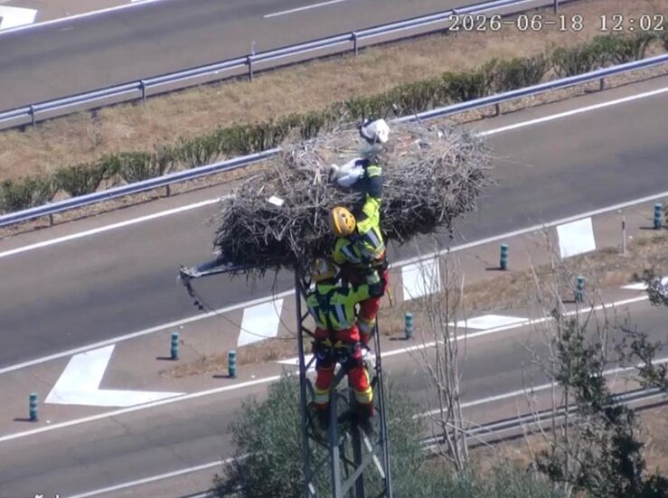 Bomberos Diputacin Badajoz rescatan en Lobn a una cigea atrapada en su nido