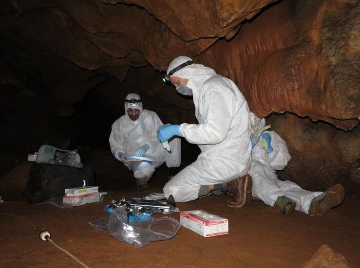 Proyecto arqueolgico revela que ADN humano puede preservarse en las paredes de las cuevas