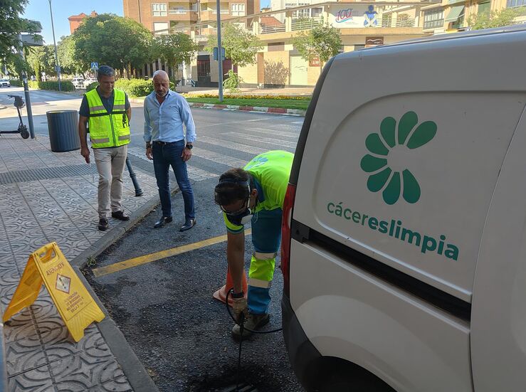 Cceres intensifica este verano el control de plagas en la red de saneamiento