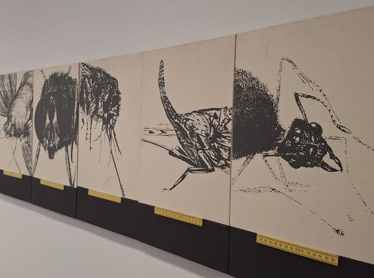 Museo VostellMalpartida y el MEIAC colaboran en la muestra Mirar para ver lo ausente