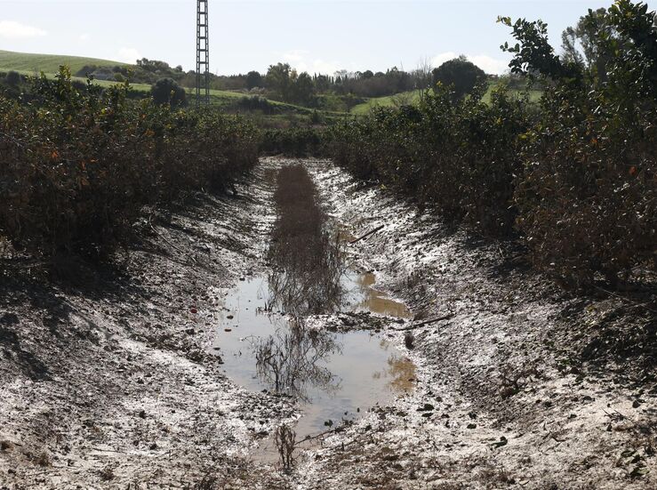 Gobierno abona 48 millones a agricultores y ganaderos por los daos de las borrascas