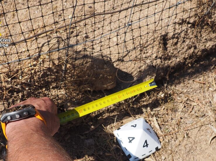 Un investigado por usar lazos prohibidos para la caza de conejos en Sierra de Montnchez