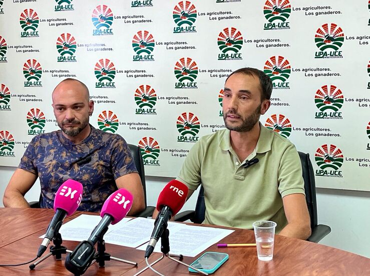 UPAUCE urge incorporar una clusula en contratos de tomate que permita revisar el precio