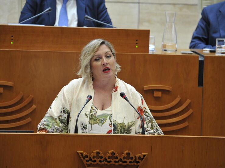 Rechazada propuesta del PSOE para resolver la demora asistencial en Atencin Primaria