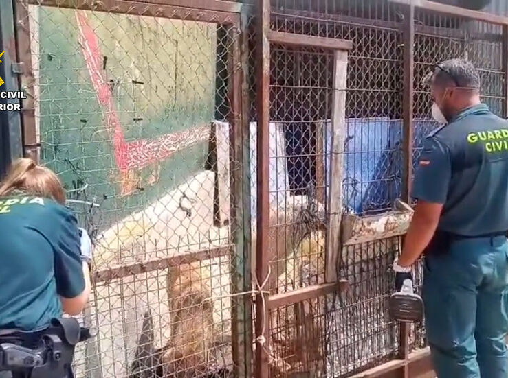 Investigado un hombre en Villafranca por un delito continuado de maltrato animal