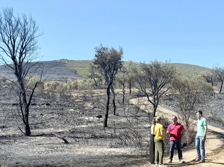 Diputacin Cceres colaborar en recuperar zonas de incendio de Mirabel y Casas de Milln