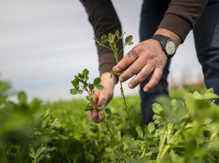 331 millones de ayudas para fertilizantes a 18083 agricultores extremeos en septiembre