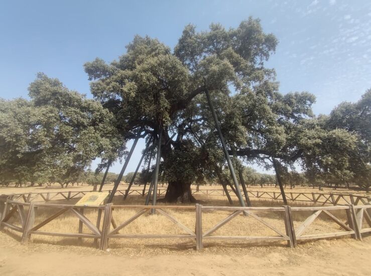 Adenex lleva a 6 municipios su proyecto que promueve conservacin de patrimonio natural