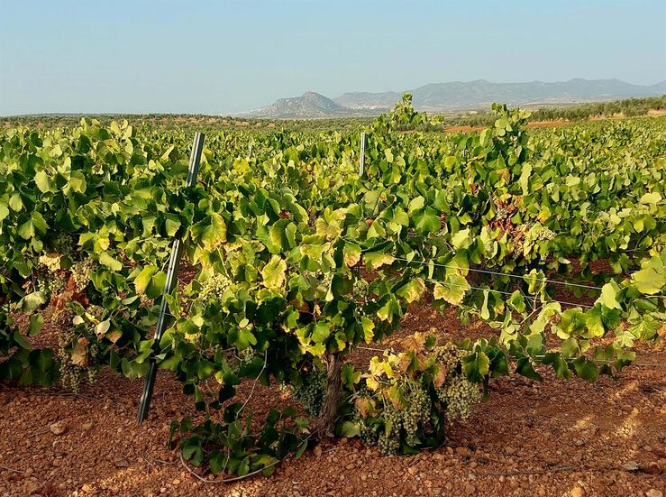 Clygal y Apag suscriben acuerdo para defender un precio justo por la cosecha de cava