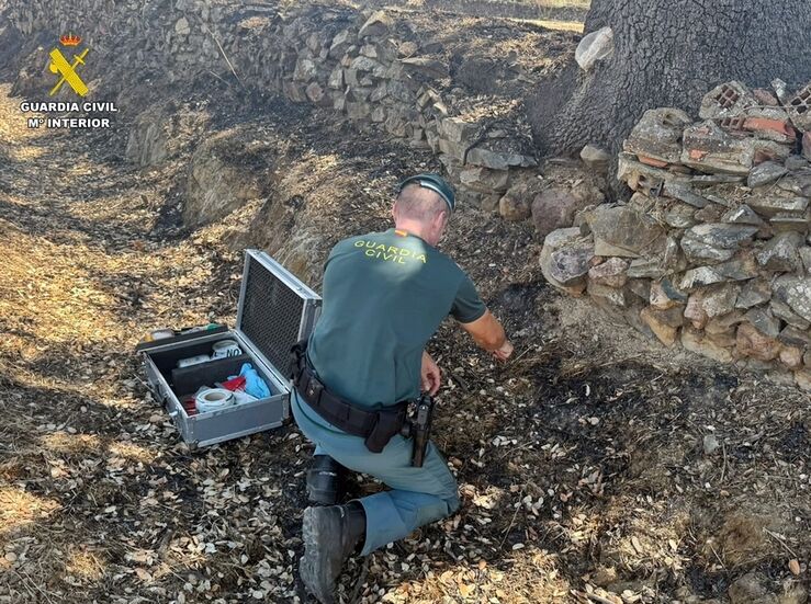 Investigado el presunto autor del incendio forestal intencionado en un paraje de Herrera