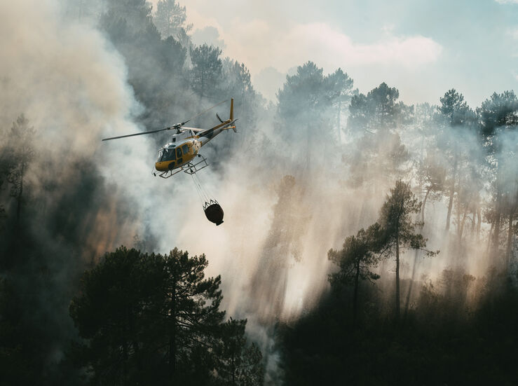 El Plan Infoex intervino en 20 incendios forestales en la ltima semana