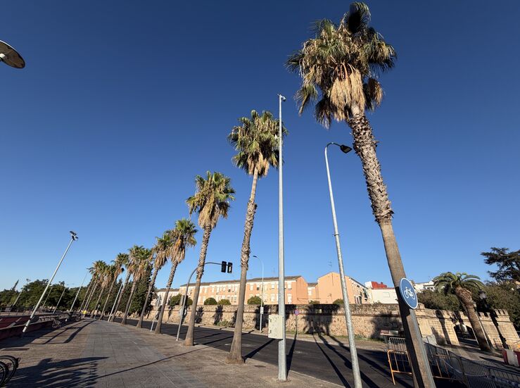 PSOEBadajoz ve insuficiente informacin arbolado afectado obras parking Circunvalacin