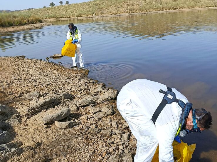 CHG finaliza retirada de peces tras el episodio de mortandad en el embalse de Los Molinos