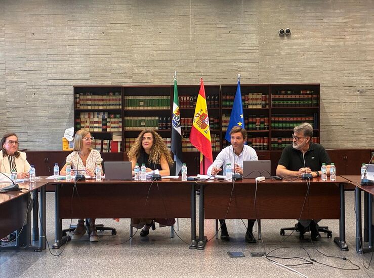 Sectorial Personal Docente aprueba crear equipos especficos a alumnado altas capacidades