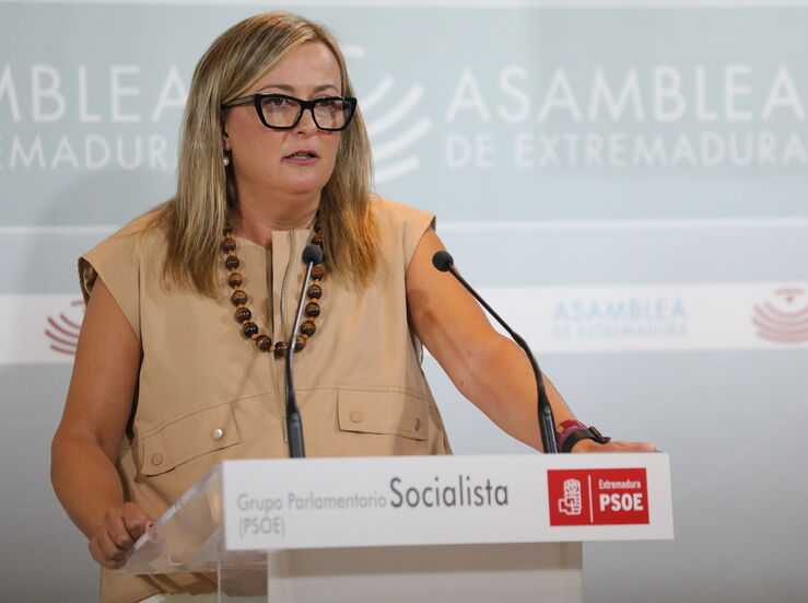 PSOE afirma que marca agenda y la Junta debe reaccionar ante problemas de Extremadura