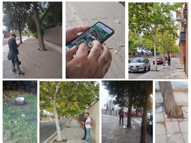 Municipios extremeos se suman a iniciativa para detectar problemas sobre arbolado urbano
