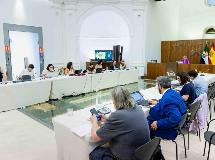Extremadura conceder 315M en ayudas a natalidad y reconocer proyectos de la juventud