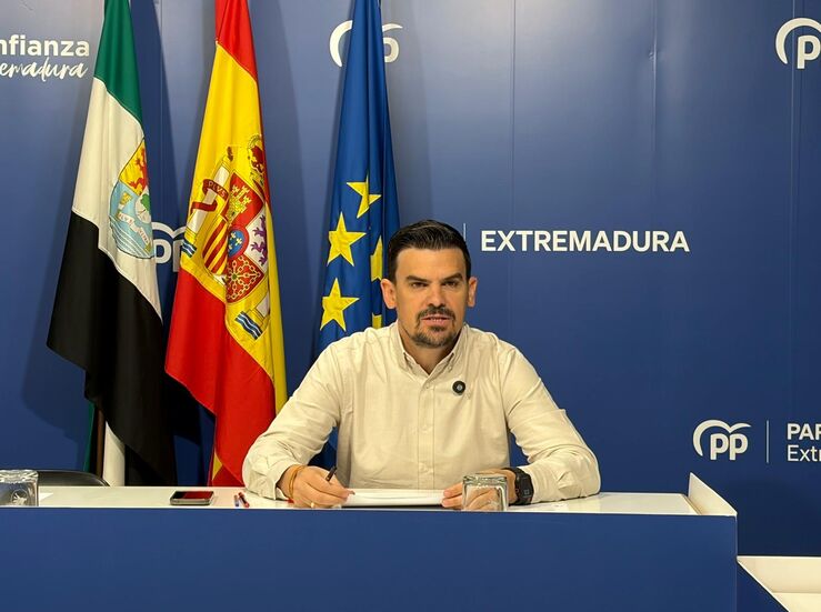 PPMrida cree que la licitacin de los campos de ftbol evidencia carencias acumuladas
