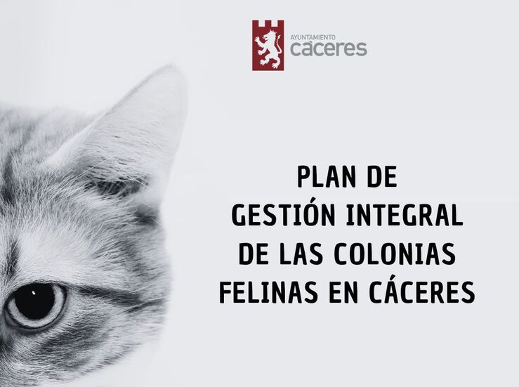 El Ayuntamiento de Cceres invierte ms de 60000 para mejorar las colonias felinas