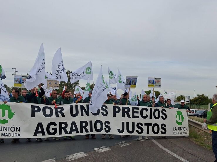 La Unin se manifiesta en Mrida para pedir a Guardiola ayudas para la aceituna de mesa 
