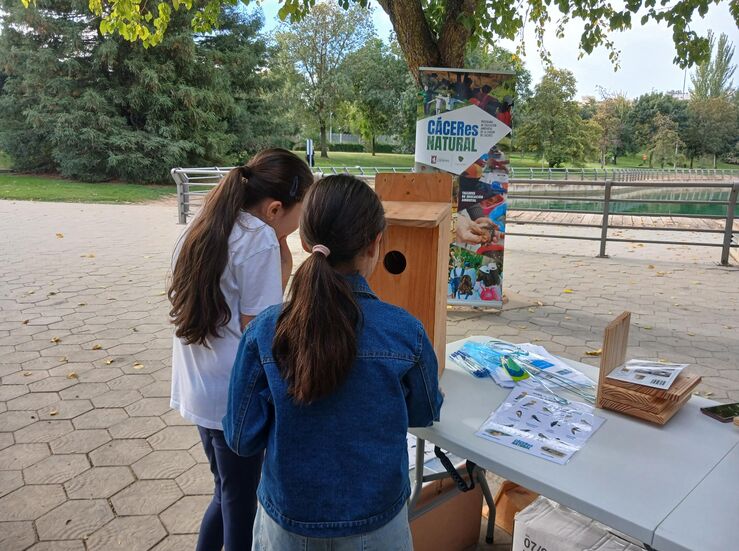Cceres se une al Da Mundial de las Aves con taller familiar construccin de cajas nido