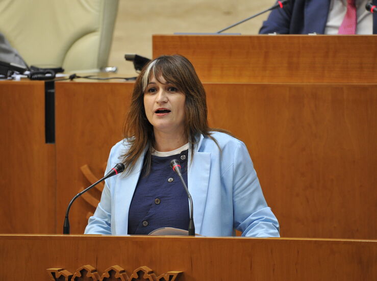 PSOE critica falta de acompaamiento de Junta al proyecto de gigafactora de Navalmoral