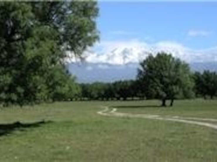 Ecologistas en Accin pide a la Junta que tramite denuncias en vas pecuarias en El Gordo