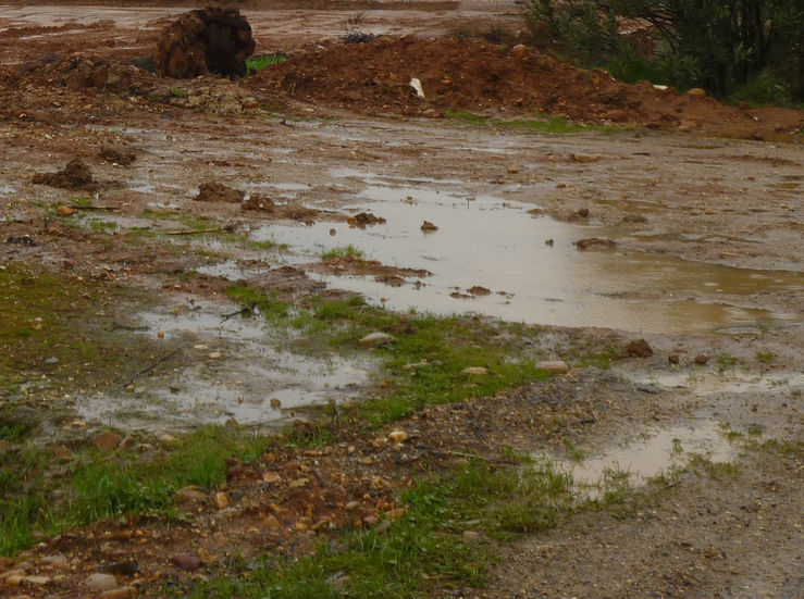 La lluvia posible causa del corrimiento de un talud  en Badajoz